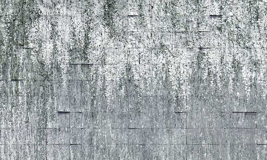 Art. 35 0796 01
