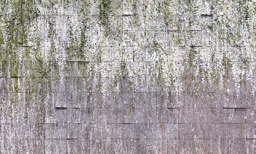Art. 35 0796 07