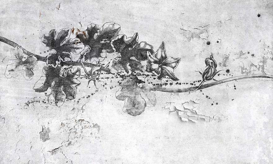 Art. 35 0773 00