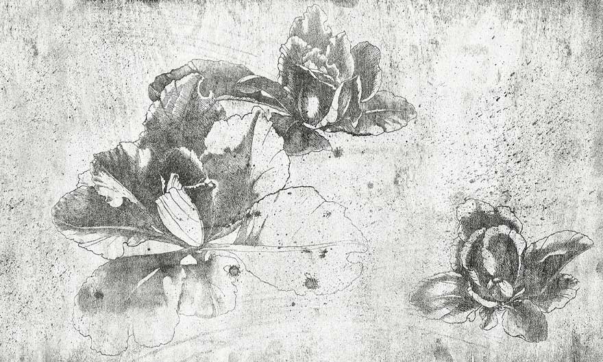 Art. 35 0774 00