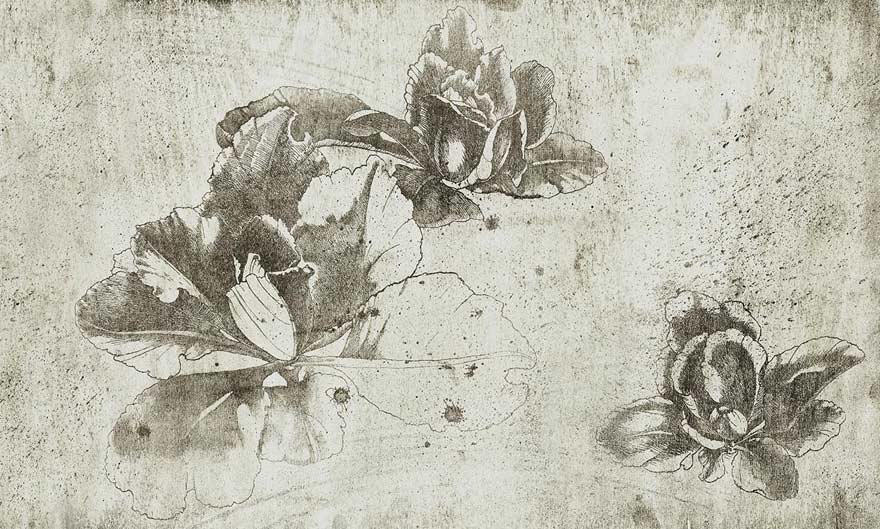 Art. 35 0774 06