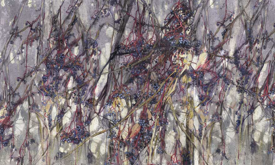Art. 35 0529 07