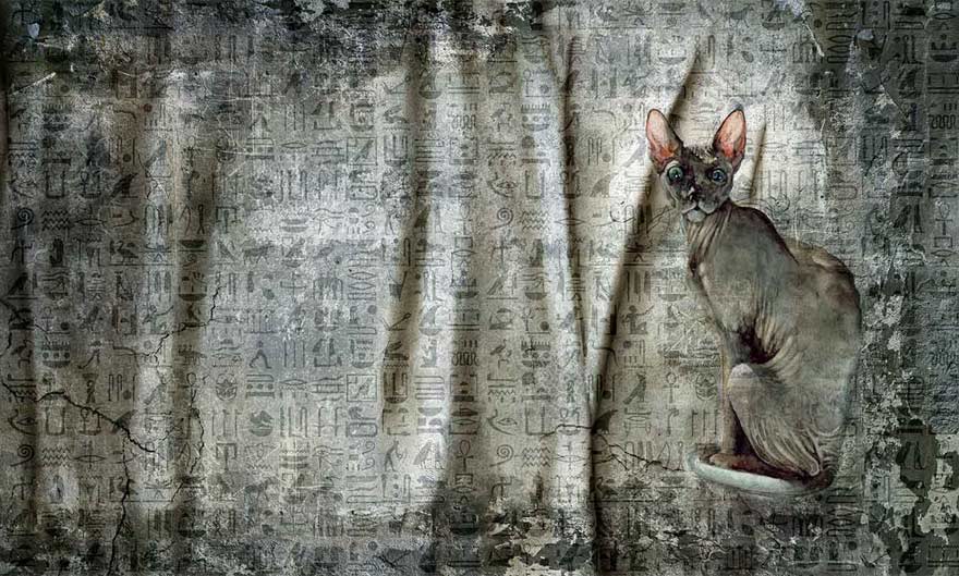 Art. 35 0452 04