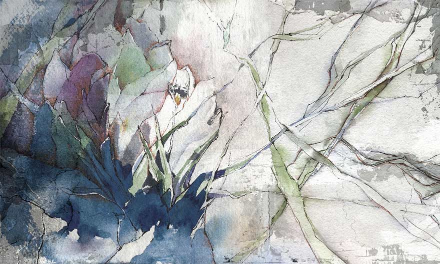 Art. 35 0769 03