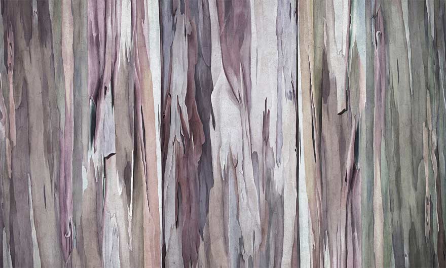 Art. 35 0775 15