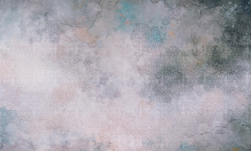 Art. 35 0733 13