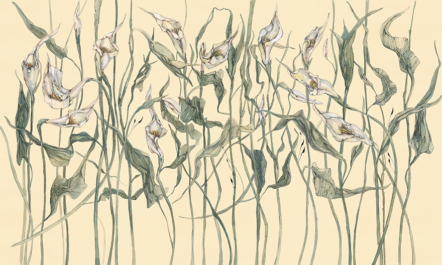 Art. 35 0324 00