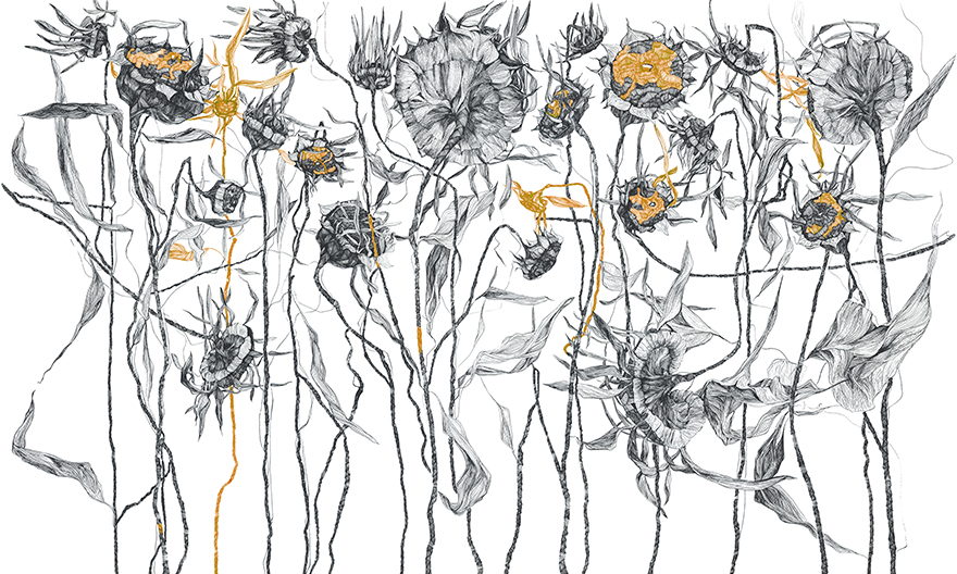 Art. 35 0119 04
